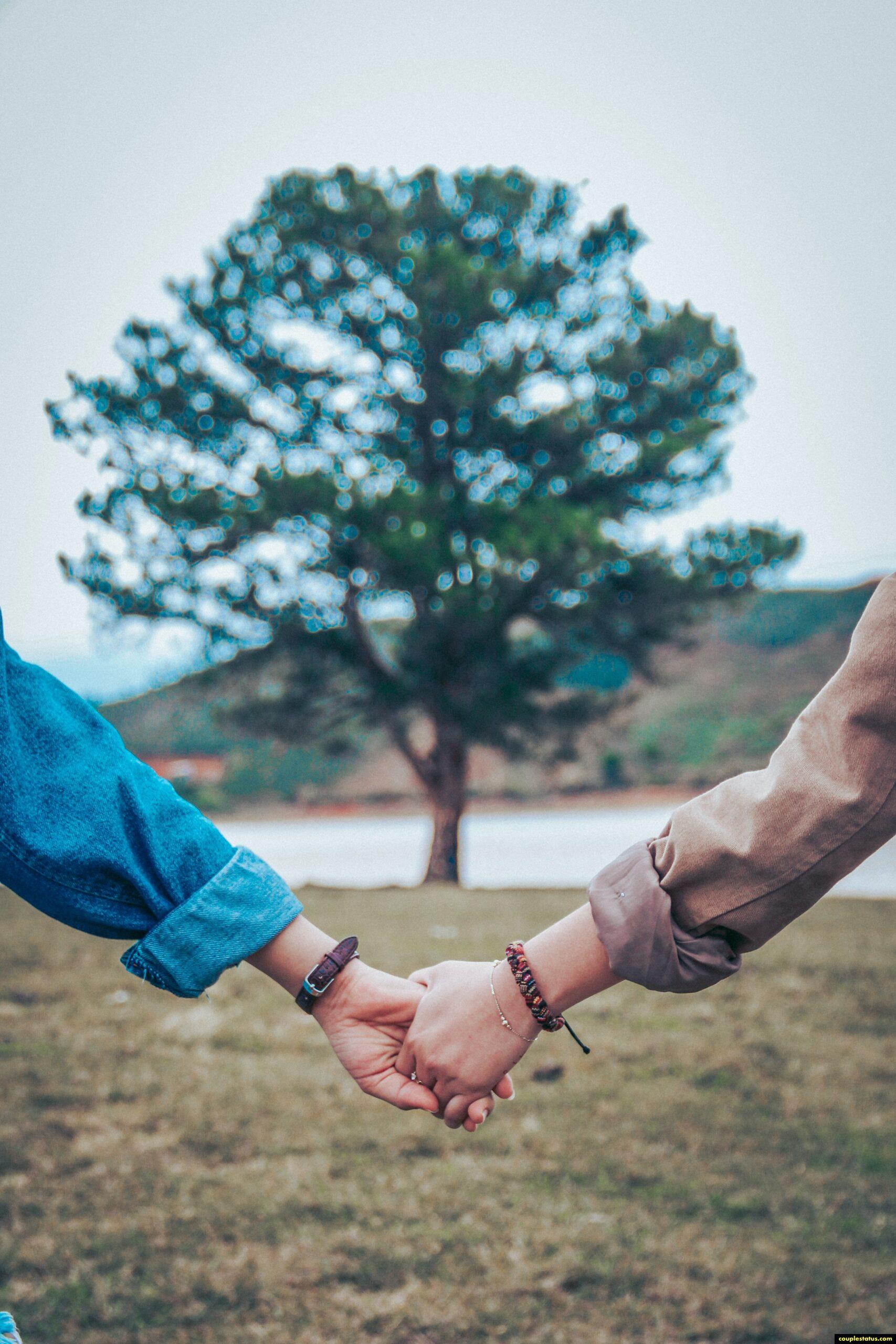 The Importance of Friendship in a Relationship: Building a Lifelong Connection 7 Friendship in a Relationship